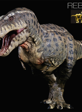 REBOR侏罗纪恐龙25年科学帝王暴龙霸王龙岛屿版 成人模型玩具现货
