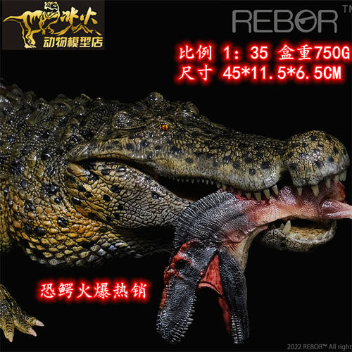 模型史前巨兽REBOR收藏摆件鳄鱼