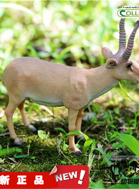 COLLECTA我你他2017动物恐龙模型玩具高鼻羚羊88808 全新现货