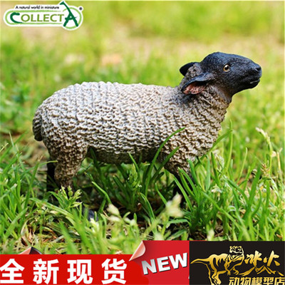 我你他野生动物全新现货COLLECTA