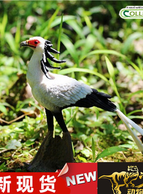 COLLECTA我你他2017动物恐龙模型玩具 蛇鹫88796 全新现货