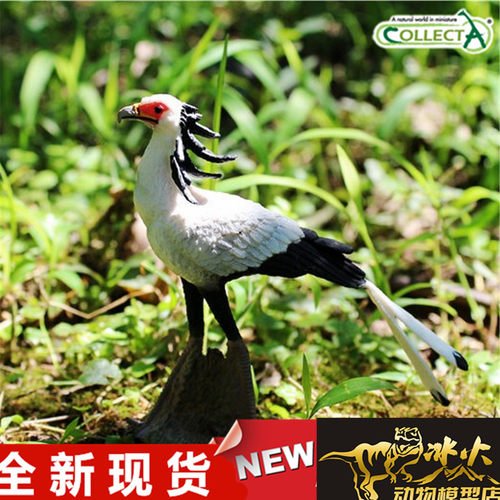 COLLECTA动物恐龙模型玩具蛇鹫