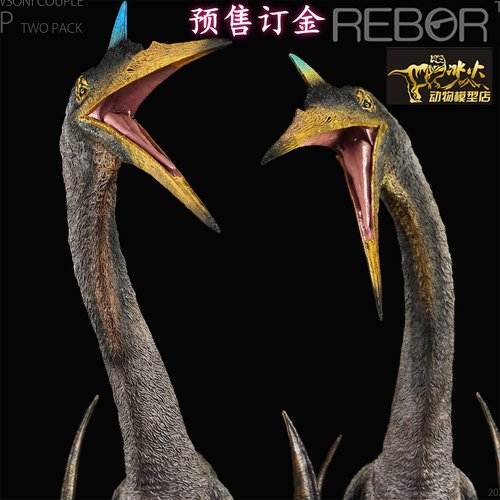 REBOR侏罗纪恐龙风神翼龙兄弟/夫妻套装成人孩子收藏模型玩具接单
