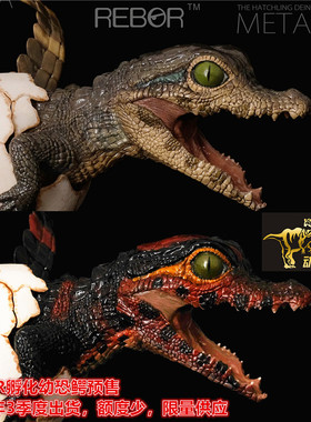 英国REBOR孵化恐鳄鳄鱼宝宝出壳模型雕像 限量版鳄鱼宝宝蛋现货
