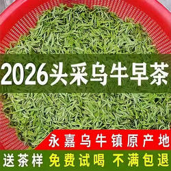 2026年乌牛早茶特级头采明前茶125g温州永嘉特产乌牛早龙井茶叶春