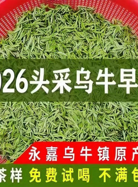 2026年乌牛早茶明前茶