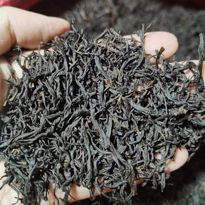 永嘉乌牛早红茶明前乌牛早