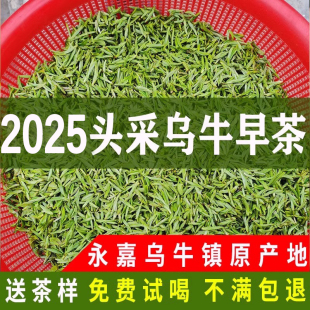 2025年乌牛早茶特级头采明前茶125g温州永嘉特产乌牛早龙井茶叶春
