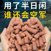 半日闲溪流钓打窝大颗粒炜炜常用浓腥颗粒石斑溪哥马口鲫鲤鱼通用