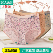 3条AB内衣正品 0108 短裤 弹力棉质纯棉抗菌平角中高腰中年内裤 女式