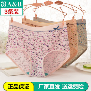短裤 女式 0108 弹力棉质纯棉抗菌平角中高腰中年内裤 3条AB内衣正品