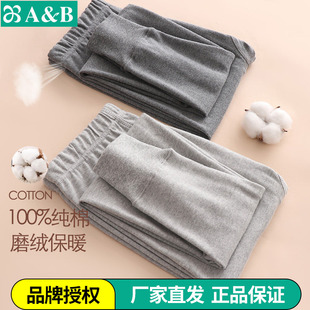 AB男士纯棉秋冬高腰打底保暖裤100%全棉磨毛线裤单件棉毛裤T675