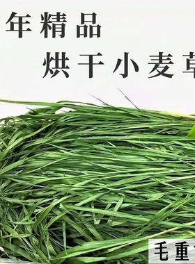 25年兔子龙猫牧草小麦草干草