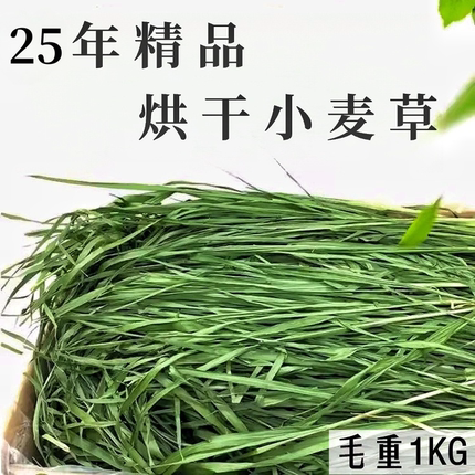 2025年烘干小麦草干草兔子龙猫牧草荷兰猪饲料兔子草料毛重1000g
