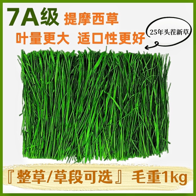 烘干提摩西草北提兔子草龙猫草