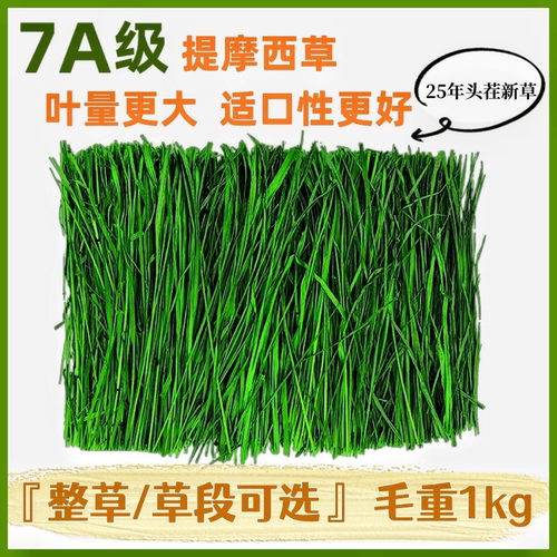 烘干提摩西草北提兔子草龙猫草