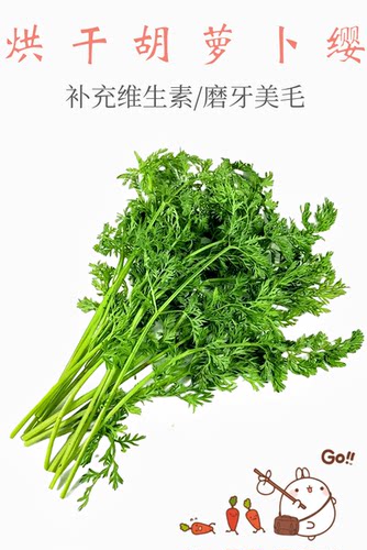 胡萝卜缨兔子草美毛磨牙补充维A