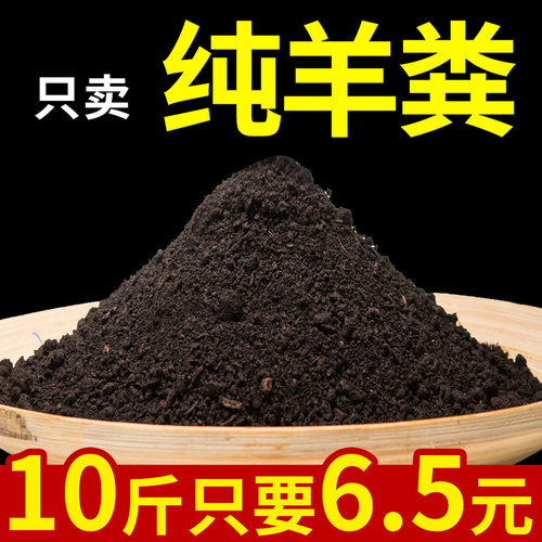 盛京多肉纯羊粪种菜养花农家肥