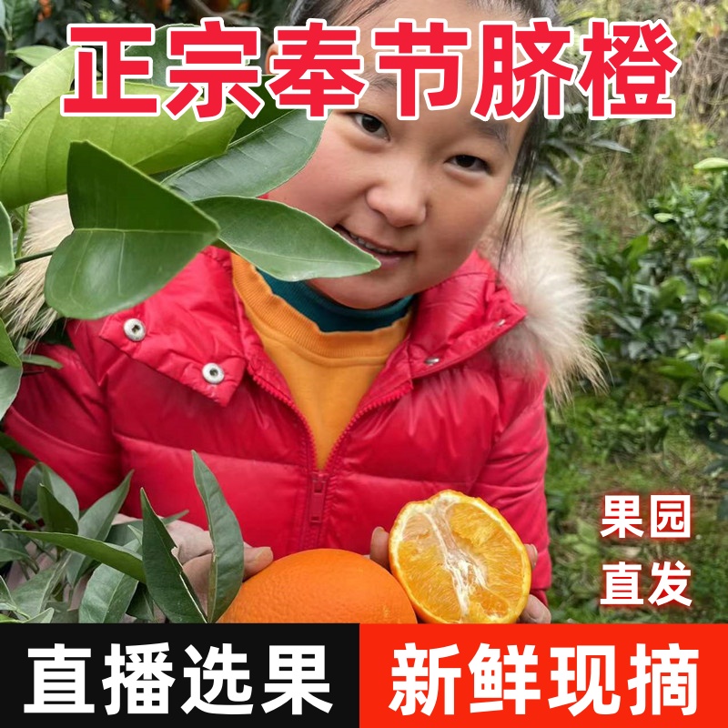 【直播选果】重庆奉节脐橙新鲜现摘孕妇应季水果甜带叶现摘5斤10-封面