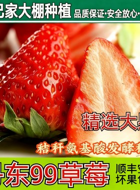 只挑味道好的草莓大棚亲自摘发货