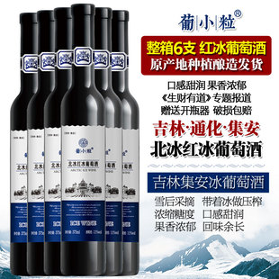 北冰红自酿甜红酒自制吉林通化集安冰酒 冰葡萄酒 葡小粒 整箱6支