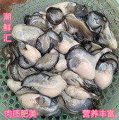 生蚝肉商用批发珍珠蚝蚵仔煎蚝烙仔鲜活现剥耗3斤65元 包邮