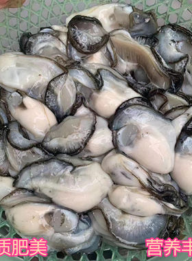 生蚝肉商用批发珍珠蚝蚵仔煎蚝烙仔鲜活现剥耗3斤65元