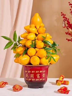 年宵花五代同堂盆栽黄金果乳茄新年装饰观赏长寿盆景五指茄果