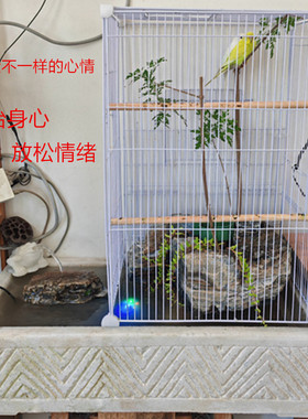 石雕办公室高档会所流水生态鸟笼