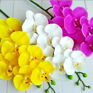 高品质单支手感保湿软胶蝴蝶兰假花餐桌客厅家居紫粉黄色插花装饰