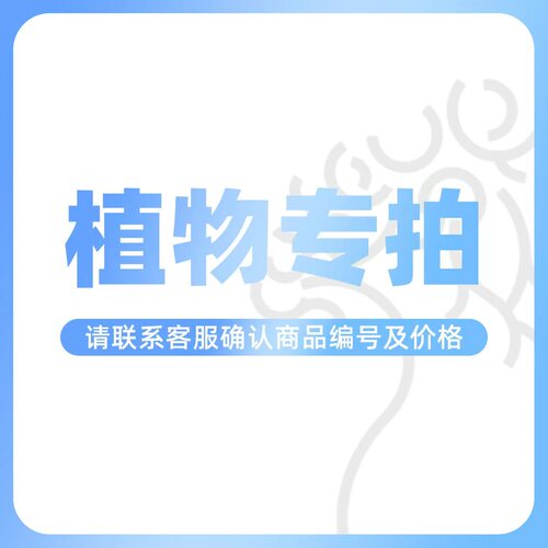 【云南专拍】植物专拍 请确认价格编号后拍