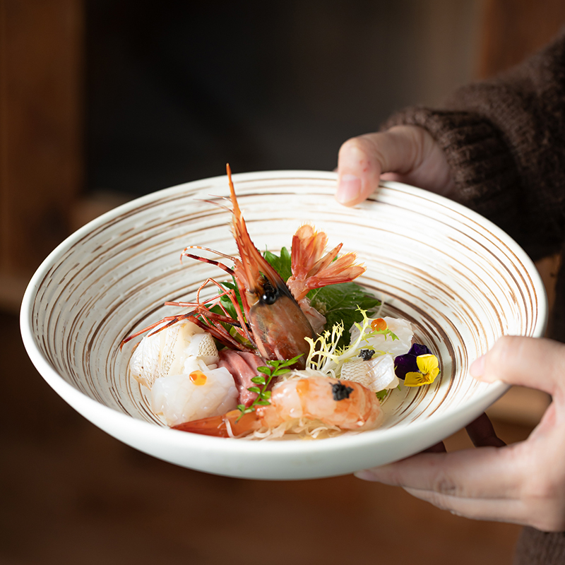 新款网红浅碗日式陶瓷碗复古菜碗炒饭碗芝焗饭碗沙拉水果碗家用