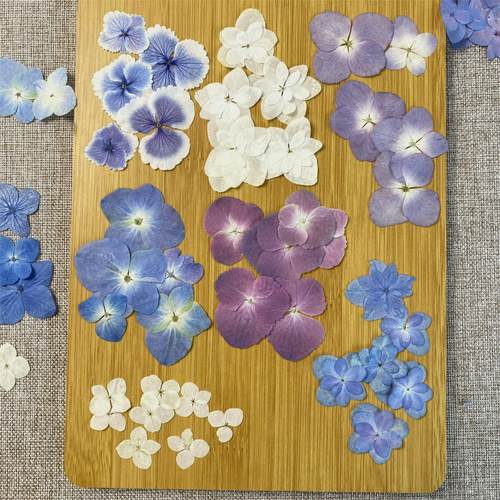 干花标本材料包手工diy
