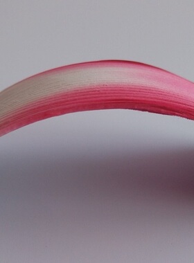 纸质叶片 手工DIY花瓣纸40片-红色