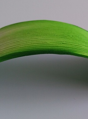 纸质叶片 手工DIY花瓣纸40片-浅绿色