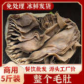 新鲜毛肚整个生鲜商用牛百叶黑千层肚大叶片牛肚火锅冒菜食材