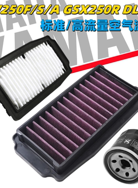 适用铃木摩托车丽驰GW250F/S/A GSX250RDL改装高流量空气滤芯机滤