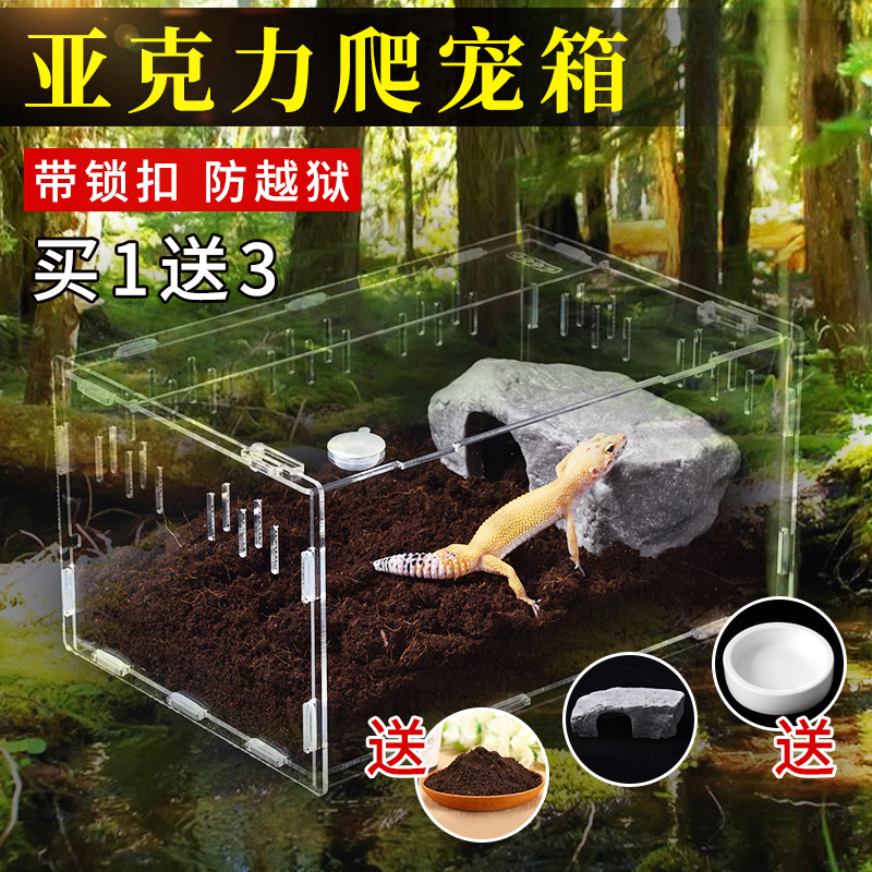 蜘蛛饲养盒迷你爬虫盒专业透明