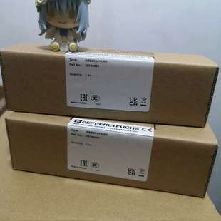 U1K 倍加福NBB20 议价