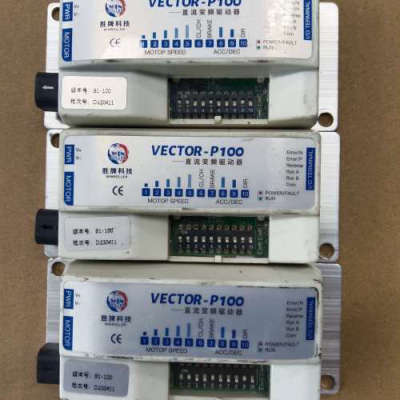 VECTOR-P1000，胜牌流变频驱动器，，议价