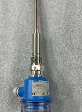 (议价)E+H Soliphant T