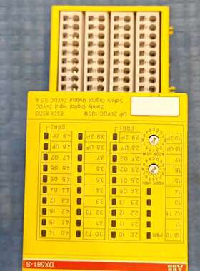 (议价)安全数字输入输模块DX581-S，1SAP284