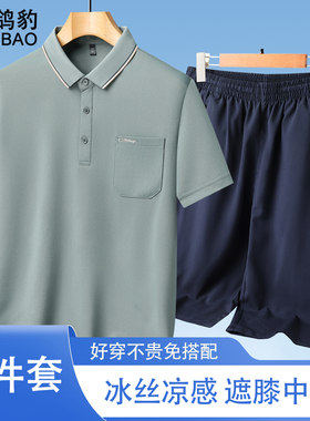 中老年人男士冰丝短袖t恤套装