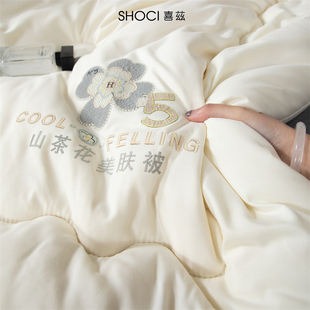 大豆纤维被子2025新款 通用双人冬被褥加厚 宿舍单人被芯春秋被四季