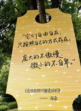 创意户外pvc挂树网红标语牌6.5mm