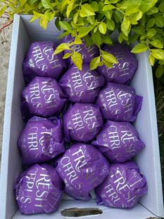 春见耙耙柑包装袋丑桔丑八怪软膜袋四川柔软袋精品高档水果包装