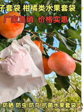 柿子套袋专用袋脐橙红美人沃柑石榴甜柿子柑橘橙子防晒防鸟水果袋
