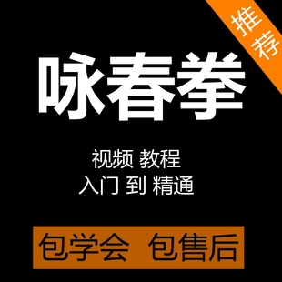 咏春拳视频教程零基础入门自学咏春木人桩武术训练培训教学课程