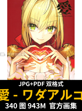 愛 ワダアルコ Fate ART WORKS 画集画册 Wada Aruko FGO EXTRA