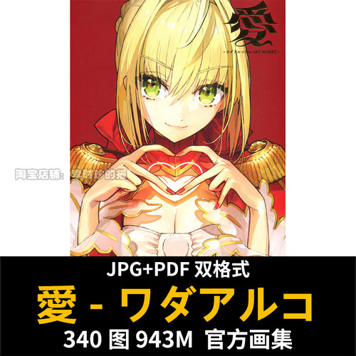 愛 ワダアルコ Fate ART WORKS 画集画册 Wada Aruko FGO EXTRA